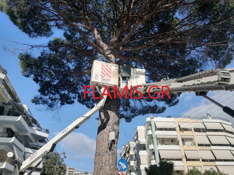 ΠΑΤΡΑ: Υπάλληλος του Δήμου εγκλωβίστηκε... μέσα στο καλαθοφόρο! ΠΩΣ ΕΓΙΝΕ Η ΔΙΑΣΩΣΗ ΤΟΥ - ΚΑΡΕ ΚΑΡΕ ΣΕ ΦΩΤΟ