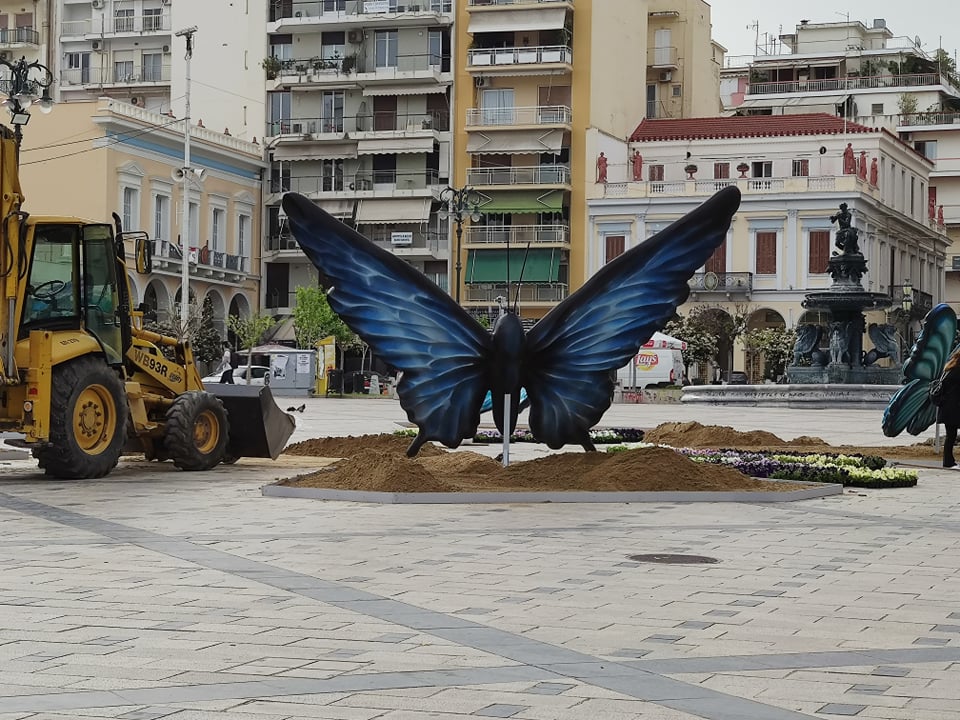 ΠΑΤΡΑ: Μπήκε και χορτάρι στην Πλ. Γεωργίου - ΦΩΤΟ ΠΑΤΡΑ: Μπήκε και χορτάρι στην Πλ. Γεωργίου - ΦΩΤΟ