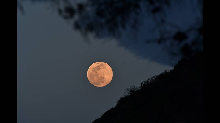 720_779220_9e0209f987-974b9973bdad7cac