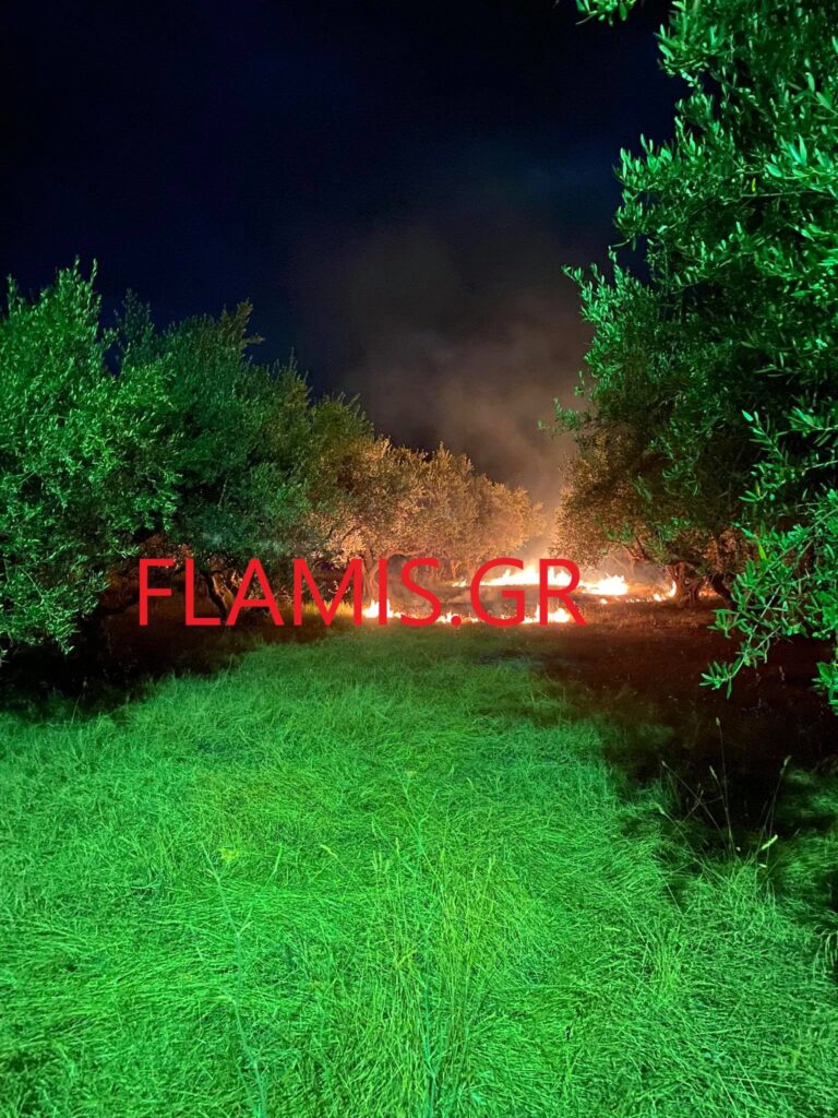 ΠΑΤΡΑ - ΔΕΙΤΕ ΦΩΤΟ: Φωτιά σε λιοστάσι κοντά σε σπίτια - "Μάχη" των πυροσβεστών μετά τα μεσάνυχτα