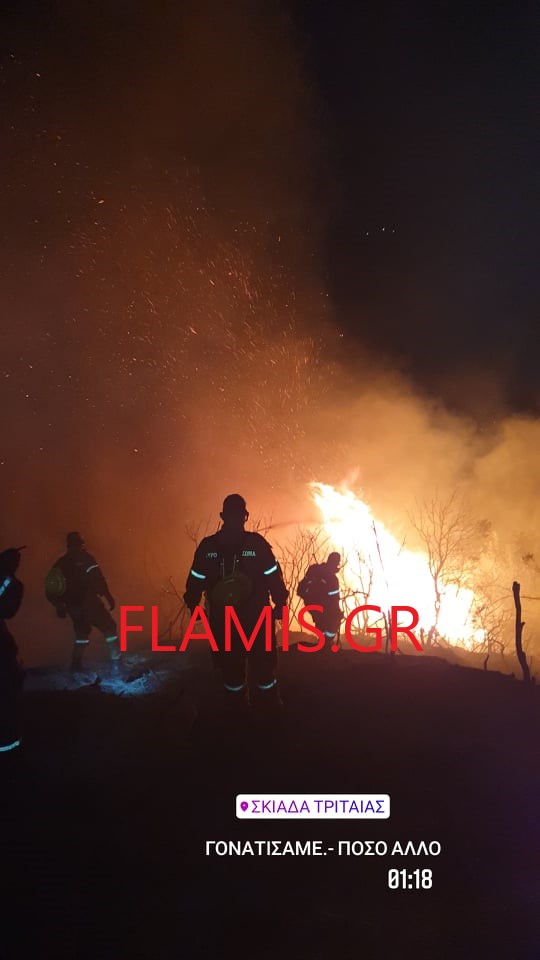 ΣΚΙΑΔΑ ΤΡΙΤΑΙΑΣ: Το συγκλονιστικό μήνυμα των Πυροσβεστών τη νύχτα: Γονατίσαμε! Πόσο άλλο; ΦΩΤΟ