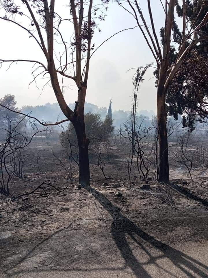ΠΡΟΕΔΡΟΣ ΚΑΜΑΡΩΝ: Μεγάλες οι καταστροφές στο χωριό - ΦΩΤΟ