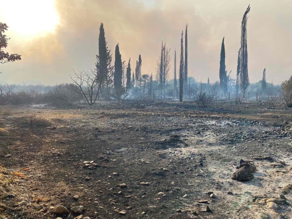 Ο ΔΗΜΑΡΧΟΣ ΑΙΓΙΑΛΕΙΑΣ ΔΗΜΗΤΡΗΣ ΚΑΛΟΓΕΡΟΠΟΥΛΟΣ ΓΙΑ ΤΗΝ ΦΩΤΙΑ ΣΕ ΖΗΡΙΑ - ΛΑΜΠΙΡΙ - ΜΠΟΥΚΑ - ΚΑΜΑΡΕΣ - ΛΟΓΓΟ