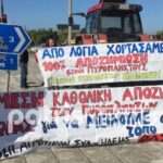 Ηλεία: Αγωνιούν για τις αποζημιώσεις οι πυρόπληκτοι αγρότες