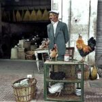 Όταν στην Πάτρα πωλούσαν ζωντανά - ΦΩΤΟ