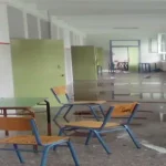 Μαθήτρια δημοτικού πήγε στο σχολείο με κουζινομάχαιρο – Ήθελε να σκοτώσει σημαιοφόρο και παραστάτες