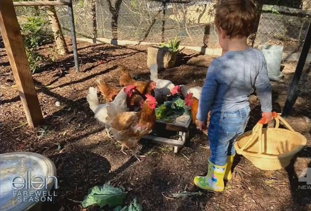Μέγκαν Μαρκλ: Αποκάλυψε νέα φωτογραφία του μικρού Άρτσι -Ταΐζει κότες σε κήπο