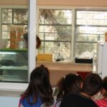 ΠΑΤΡΑ: Αρχαιρεσίες για τα σχολικά κυλικεία την Παρασκευή