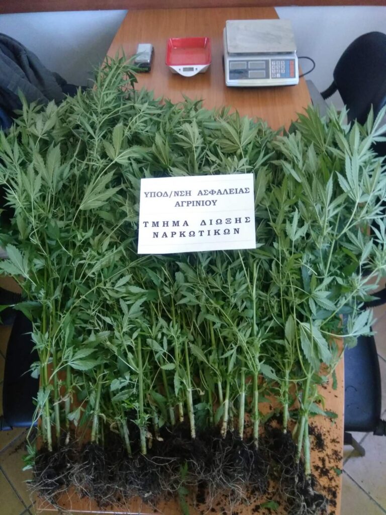 Συνελήφθη άνδρας σε περιοχή του Αγρινίου για καλλιέργεια ναρκωτικών