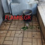 ΠΑΤΡΑ: Πήρε φωτιά το μπουφάν του Αστυνομικού! Πολίτης άρχισε να κορνάρει... στη θέα των μολότοφ! ΒΙΝΤΕΟ