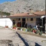 19 χρόνια κάθειρξης στους δράστες που φίμωσαν και βασάνισαν τους γέροντες στο Χαλκιόπουλο