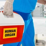 Αυξήθηκαν οι δότες κατά 14% μέσα σε έναν μήνα! Δύο από την Δυτική Ελλάδα