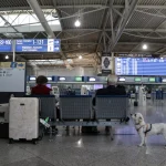 Τα πρώτα σημάδια «δείχνουν» χρονιά – ρεκόρ: Πάνω από το 2019 παραμένει η κίνηση στο «Ελ. Βενιζέλος»
