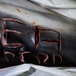 Γαλλία: Χάραξαν ομοφοβικά μηνύματα σε δελφίνια! - Σκληρές φωτογραφίες