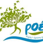 Πάτρα: Οι «Ροές, Χορός - Δράσεις Πολιτισμού» κόβουν την Πρωτοχρονιάτικη Πίτα τους