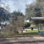 ΠΑΤΡΑ: Εικονες εγκατάλειψης στην Πλατεία Αρόης - ΦΩΤΟ