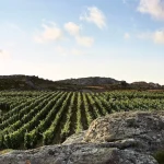 Αυτά είναι τα 21 μεγάλα ελληνικά κρασιά που συμμετέχουν στο “Μουντιάλ” οίνου
