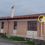 ΠΑΤΡΑ: Μπήκαν 12 κάμερες στην Ιχθυόσκαλα - ΦΩΤΟ