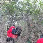 Άγιο Όρος: Άκαρπες οι έρευνες για τον εντοπισμό του 60χρονου μοναχού