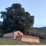 Το Σάββατο 20/5 το πρωί πολιτιστική εκδήλωση στο εκκλησάκι του Αγ. Αθανασίου στην πλαγιά του Ερύμανθου