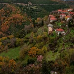 Τα Άγρια Χόρτα της ελληνικής γης: Τα είδη, η σωστή αξιοποίηση, οι θεραπευτικές ιδιότητες