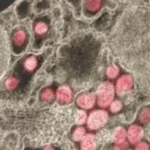 Covid-19: Δεν υπάρχει απόδειξη ότι δημιουργήθηκε σε εργαστήριο στην Κίνα