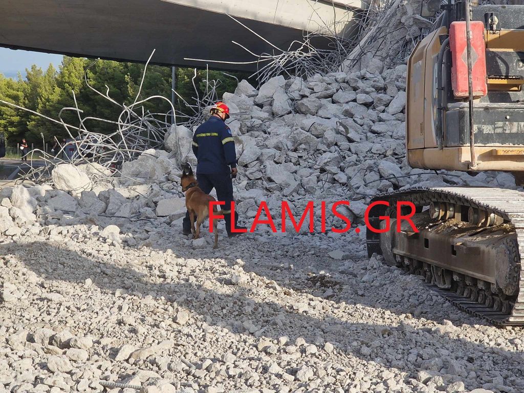 ΠΑΤΡΑ: Εσπασαν το μεγάλο κομμάτι που κατέρρευσε στην γέφυρα - Ο σκύλος της 6ης ΕΜΑΚ ήταν εκεί - ΦΩΤΟ