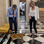 Φρανσίν Λάκουα: Ποια είναι η γοητευτική ρεπόρτερ του Bloomberg που πήρε συνέντευξη από τον Κυριάκο Μητσοτάκη
