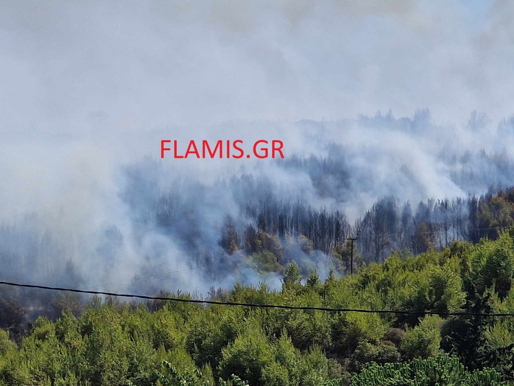 Μεγάλη φωτιά στον Πύργο Ηλείας: Μήνυμα 112 για εκκένωση τεσσάρων οικισμών - Κοντά σε χωριό οι φλόγες
