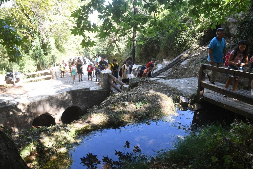 Εκδρομική εμπειρία στο Άνω Καστρίτσι για τα παιδιά των Ημερήσιων Κατασκηνώσεων του Δήμου Πατρέων