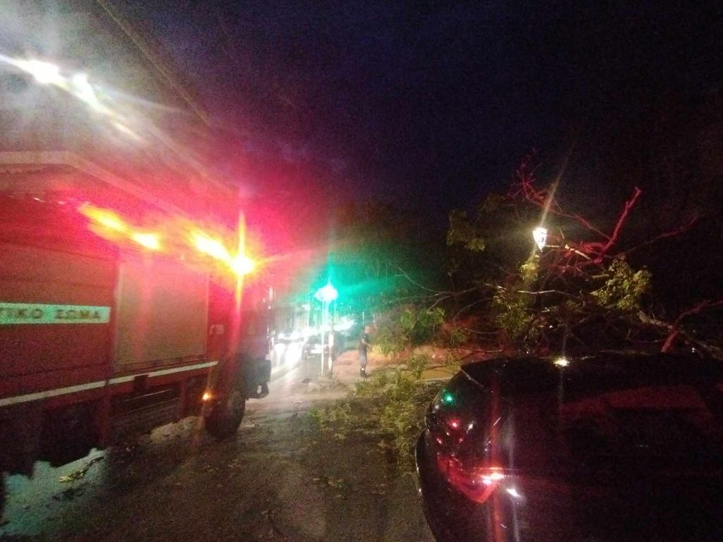 ΠΑΤΡΑ: Δέντρο έπεσε σε γυναίκα και την τραυμάτισε! Περίμενε το παιδί της από το φροντιστήριο! ΦΩΤΟ