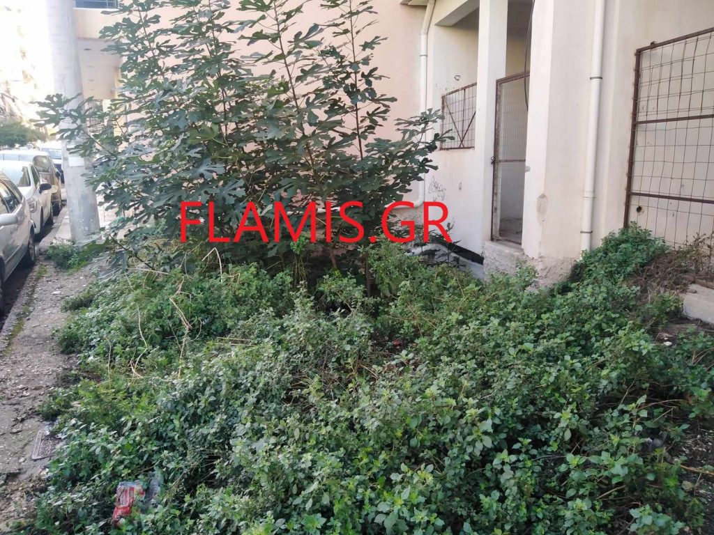ΣΥΝΑΓΕΡΜΟΣ ΣΤΗΝ ΠΥΡΟΣΒΕΣΤΙΚΗ - ΕΚΑΒ: Γυναίκα έπεσε μέσα σε φρεάτιο στην οδό Κύπρου - ΦΩΤΟ