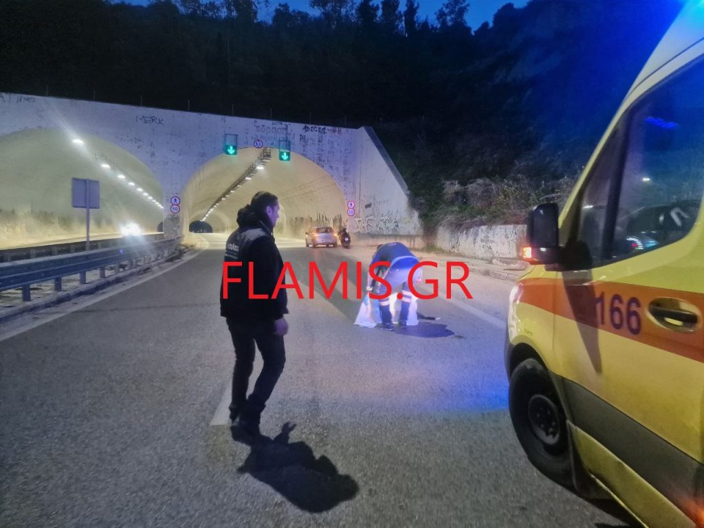ΤΡΟΧΑΙΟ ΣΤΗ ΜΙΝΙ ΠΕΡΙΜΕΤΡΙΚΗ ΠΑΤΡΑΣ: Μηχανή έπεσε πάνω σε σκυλί που διέσχιζε το δρόμο! ΣΟΚΑΡΙΣΤΙΚΕΣ ΕΙΚΟΝΕΣ - ΦΩΤΟ