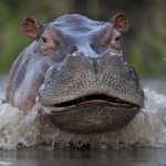 Η διπλή ζωή της Gen-chan – Εζησε σαν αρσενικό για 12 χρόνια