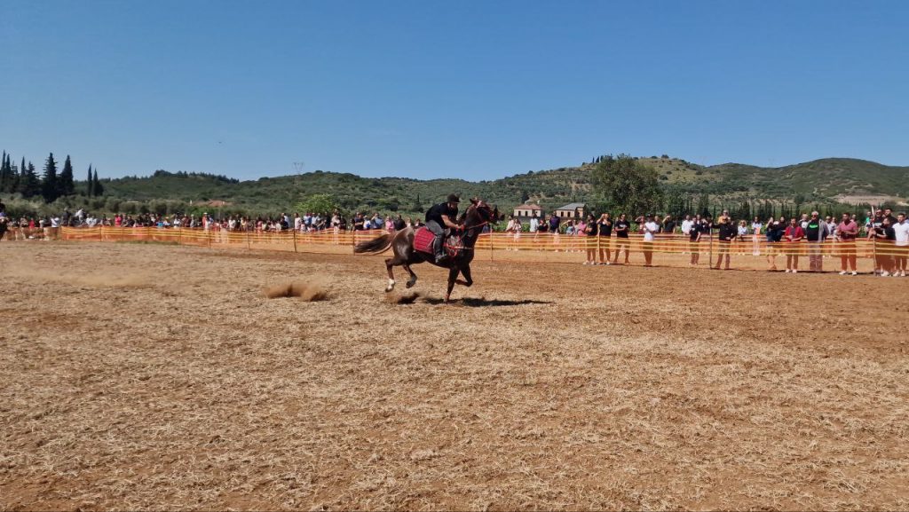 ΔΕΙΤΕ ΦΩΤΟ ΚΑΙ ΒΙΝΤΕΟ: Το flamis.gr στον Αγ. Γεώργιο Μεσολογγίου για τις ιπποδρομίες! Στεφάνωσαν τα άλογα