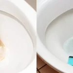 Έτσι ξεβούλωναν αποτελεσματικά τη λεκάνη της τουαλέτας χωρίς κανένα χημικό τα παλιά χρόνια!