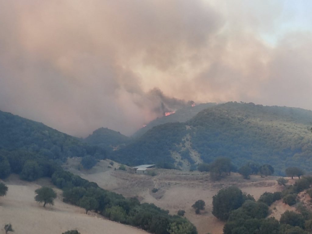 ΔΕΙΤΕ ΦΩΤΟ: 40.000 στρέμματα έγιναν στάχτη στην Αχαϊα - Ο θλιβερός απολογισμός της φωτιάς