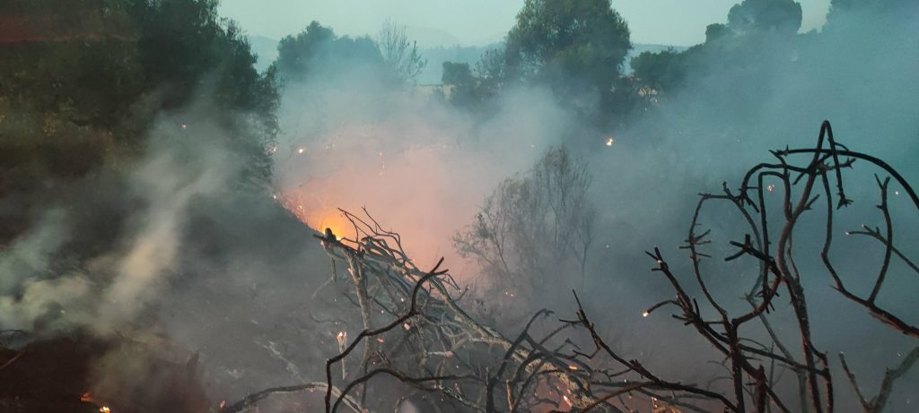 ΔΕΙΤΕ ΦΩΤΟ: 40.000 στρέμματα έγιναν στάχτη στην Αχαϊα - Ο θλιβερός απολογισμός της φωτιάς