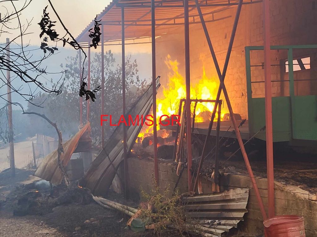 Φωτιά στο Δήμο Ερυμάνθου: Στις φλόγες δύο σπίτια, αποθήκες, στάβλοι και ΙΧ