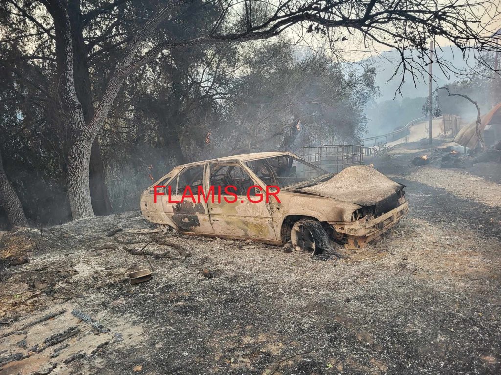 Φωτιά στο Δήμο Ερυμάνθου: Στις φλόγες δύο σπίτια, αποθήκες, στάβλοι και ΙΧ