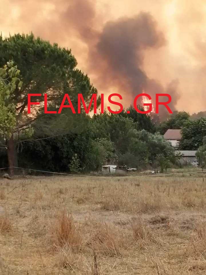 Μεγάλη φωτιά και στην Ηλεία - Μπαράζ εκκενώσεων χωριών προς Πύργο και Σιμόπουλο (Βίντεο - Φωτό)