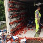 Τροχαίο στην Ηλεία... και γέμισε ο δρόμος ντομάτες - ΦΩΤΟ