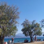 Πάτρα: Ψάχνονται για τις στάσεις του ΚΤΕΛ οι λουόμενοι της Πλαζ