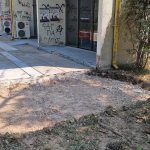 ΠΑΤΡΑ: Μπαίνει κομποστοποιητής στο Πανεπιστήμιο