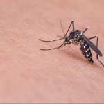 ΔΥΤΙΚΗ ΑΧΑΪΑ: Επίκινδυνη για ιό του Δυτικού Νείλου σύμφωνα με επίσημη ανακοίνωση