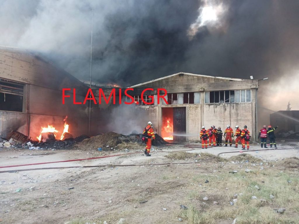 ΒΙΝΤΕΟ ΚΑΙ ΦΩΤΟ: Η φωτιά μπήκε μέσα στο εργοστάσιο - ΜΑΧΗ ΤΩΝ ΠΥΡΟΣΒΕΣΤΩΝ στο Γομοστό