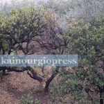 ΑΙΤΩΛΟΑΚΑΡΝΑΝΙΑ: Ζημιές από το μπουρίνι - ΦΩΤΟ