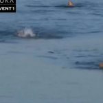 ΤΡΑΓΩΔΙΑ: Αθλητής πνίγηκε αβοήθητος σε λίμνη μπροστά σε δεκάδες θεατές