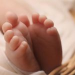 Αδέσποτος σκύλος επιτέθηκε σε βρέφος