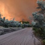 Θλίψη στην Εύβοια: Περισσότερα από 9.500 στρέμματα κάηκαν από την πυρκαγιά στον Πισσώνα